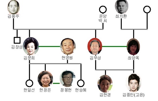 새누리당 김무성 대표의 가계도./더팩트 DB·김무성 페이스북·스노우볼엔터테인먼트·YTN 방송 영상·채널A 방송 영상·JTBC 방송 영상 캡처