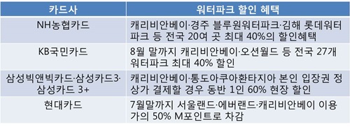 각 카드사에서는 휴가철 직장인들을 위해 워터파크 할인 혜택을 제공하고 있다.