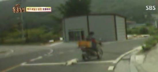 24일 SBS TV 동물농장에서 동물농장 백구 학대 사건이 벌금 30만 원에 그쳐 논란이 일고 있다. / SBS 방송 캡처
