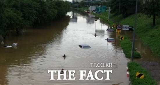 부산, 울산 지역에 기록적인 폭우가 쏟아져 수많은 차들이 물에 잠겼다./더팩트DB