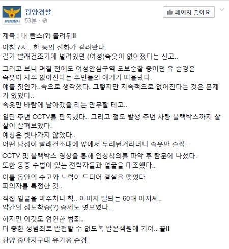 29일 전남 광양경찰서는 페이스북에 여성 속옷을 훔치다 검거된 사건 내용을 게재했다./광양경찰서 페이스북