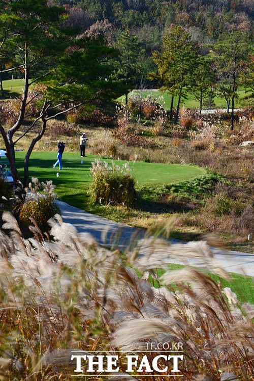 골프를 즐기면서 적당한 내기를 곁들이면 승리욕 상승은 물론 집중력까지 좋아져 평소보다 좋은 스코어를 기록할 수 있다. 단, 너무 많은 금액을 걸게 되면 도박이 될 수 있으니 유의해야 한다. / 이효균 기자