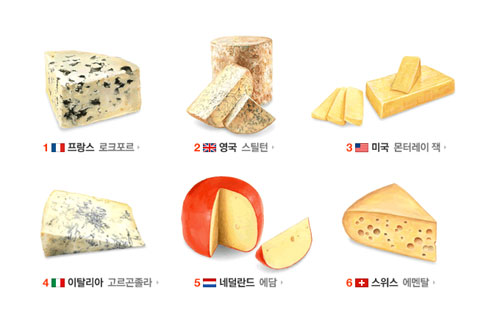 나라별 치즈의 종류가 눈길을 끌고 있다./네이버 캡처
