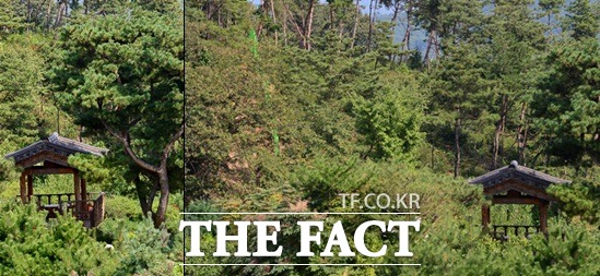 화제가 된 보아 집 내 정자도 나무가 있어야 할 자리에 임의로 세워진 것이다. / 남양주=남윤호 기자