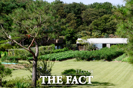 개발제한구역 내 토지 형질 변경은 행정기관의 허가가 있어야 하지만, 보아의 남양주 집에 깔린 정원은 무허가였다. / 남양주=남윤호 기자