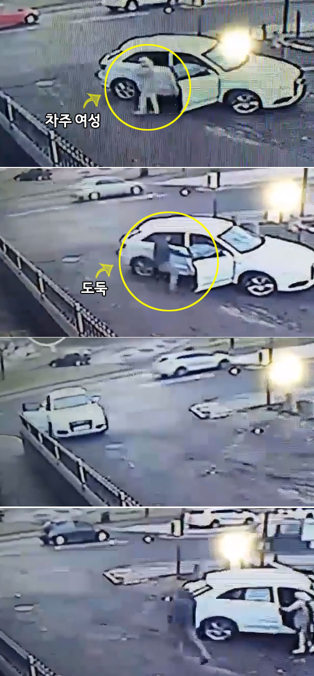 도둑과 몸싸움 끝에 차를 지킨 용감한 아줌마 영상이 눈길을 끌고 있다. /유튜브 영상 캡처