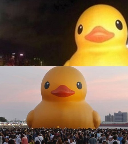 석촌호수 1톤 고무오리 러버덕 프로젝트 소식이 알려지면서 관심이 집중되고 있다. / 러버덕 홈페이지