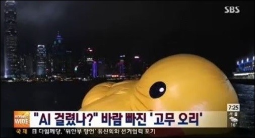 아시아 투어의 마지막 종착지로 한국을 찾은 석촌호수의 러버덕이 침몰해 관심을 모은다. /SBS 방송화면 캡처