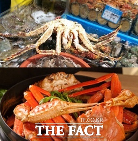 킹크랩 가격 폭락 소식에 누리꾼들이 폭발적인 반응을 보이고 있다. / 변동진 기자·더팩트DB