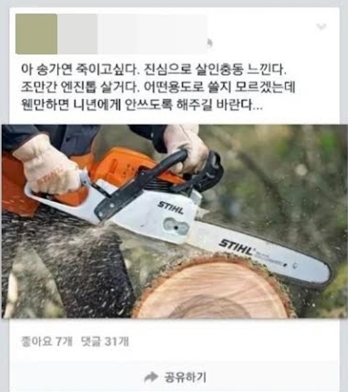 송가연을 충격의 도가니로 몰아넣은 악성 댓글. /로드 FC 제공