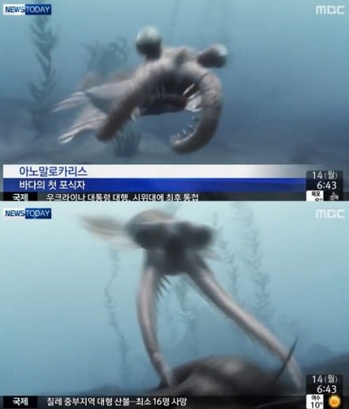 아노말로카리스란 해양 생물에 대한 누리꾼들의 관심을 끌고 있다./MBC 방송 화면 캡처