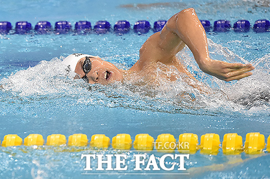 치질에 좋은 운동 중 하나가 수영인 것으로 알려졌다. / 더팩트 DB