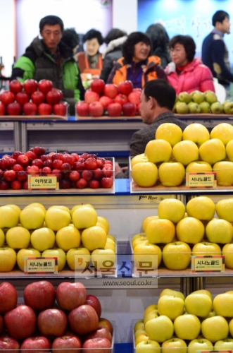 질환별 주의할 과일에 대한 관심이 집중되고 있다. /서울신문 제공