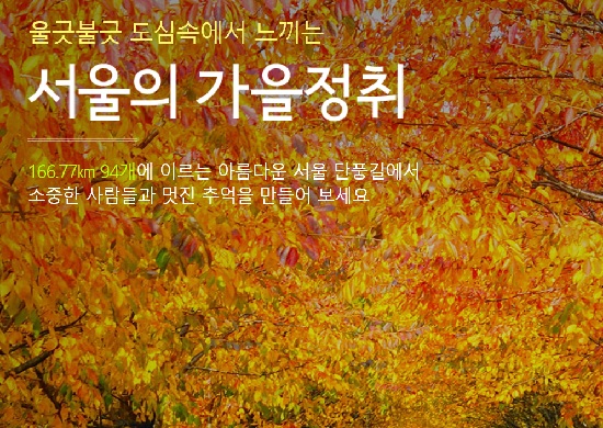 서울시가 소개한 서울 단풍명소가 화제를 모으고 있다./서울시 홈페이지 캡처