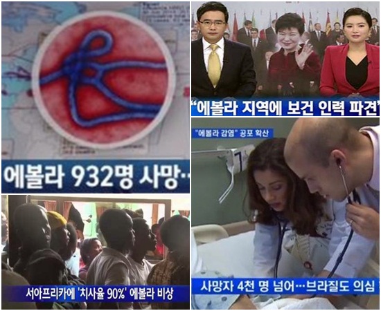 정부가 다음 달 말에 에볼라 바이러스가 확산되고 있는 서아프리카 지역에 의료 인력을 파견하기로 하면서 국민의 불안감은 커지고 있다. /JTBC·KBS·MBN 방송 화면 캡처
