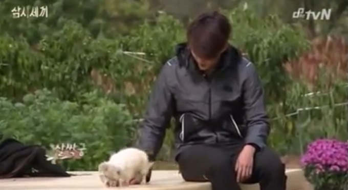 삼시세끼 출연 중인 택연이 프로그램 마스코트인 강아지 밍키를 지극히 챙기는 모습을 보여 관심을 받고 있다. /삼시세끼 방송화면 캡처