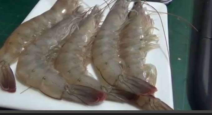 대하의 효능에 누리꾼들의 관심이 쏠린다. /유튜브 영상 캡처