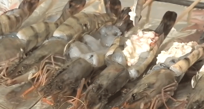 대하의 효능이 제철을 맞아 관심을 받고 있다. /유튜브 영상 캡처