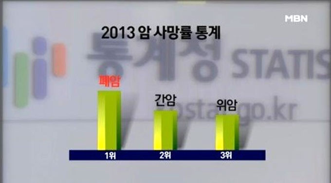 한국인 폐암 유형 1위인 선암은 특정 유전자 돌연변이에 영향을 미치는 것으로 밝혀졌다. / MBN 방송 화면 갈무리