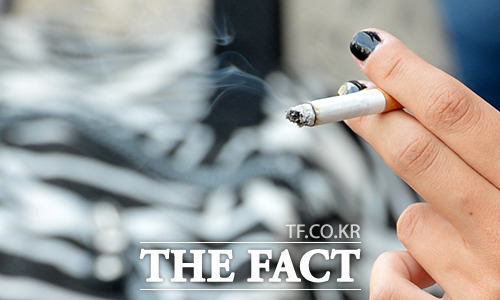 정부가 내년부터 담뱃값 2000원 인상안을 발표하면서 전자담배등 금연 보제조가 성행하고 있지만 정작 성공사례는 찾아보기 힘들다는 게 전문가들 지적이다. /더팩트 DB
