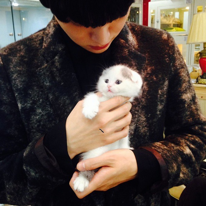 안재현을 심쿵하게 한 그의 아기 고양이./안재현 인스타그램