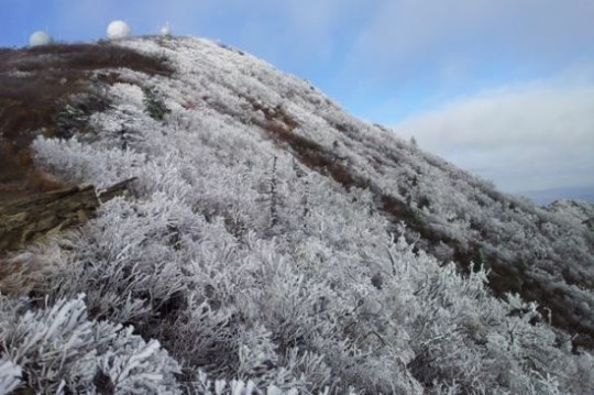 설악산 첫 상고대 관측 소식이 전해지면서 상고대의 의미에 누리꾼들의 이목을 쏠리고 있다./설악산국립공원사무소 제공
