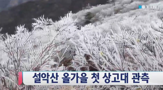 상고대의 의미가 알려져 최근 상고대가 관측된 설악산으로 여행 계획을 잡는 네티즌들이 늘어나고 있다. / YTN 뉴스 방송 화면 캡처