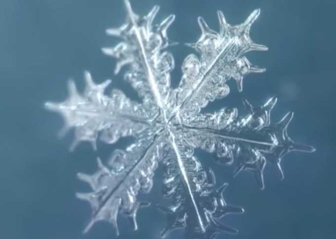 오늘(1일)부터 눈 소식에 들려오면서 눈의 종류에 사람들의 이목이 쏠리고 있다. /유튜브 영상 캡처