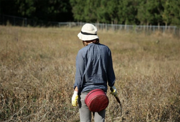 이효리 블로그가 공개됐다. / 이효리 블로그 캡처