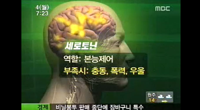 세로토닌이란 화학물질은 인간의 기분과 수면 그리고 식욕 등에 관여하지만 부족할 경우 우울증에 걸리는 것으로 알려졌다./ MBC 방송 화면 캡처