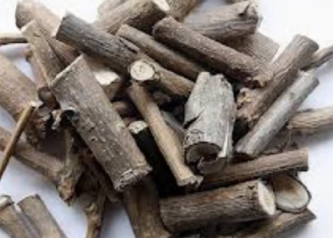 벌나무가 해장에 효과가 좋은 것으로 알려졌다./유투브 영상 캡처