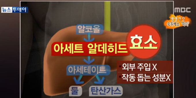 지구촌 이색 숙취 해소법이 누리꾼들의 눈길을 끌고 있다. /MBC 뉴스 영상 갈무리