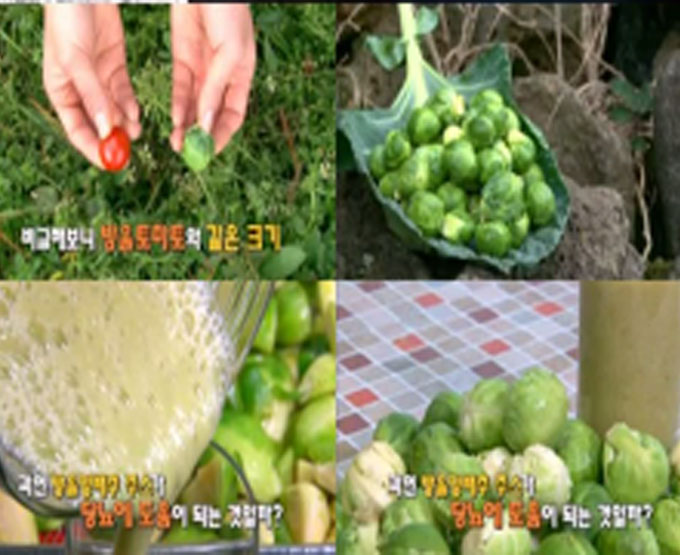 겨울철에 환영받는 채소, 방울양배추가 많은 관심을 받고 있다. / MBN 천기누설 캡처