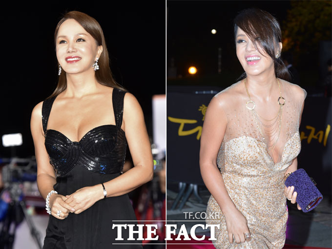 엄정화의 노출 의상이 누리꾼들의 눈길을 끌고 있다. 엄정화는 시상식에서 매번 과감한 의상을 선택해 주목받아 왔다. /더팩트DB