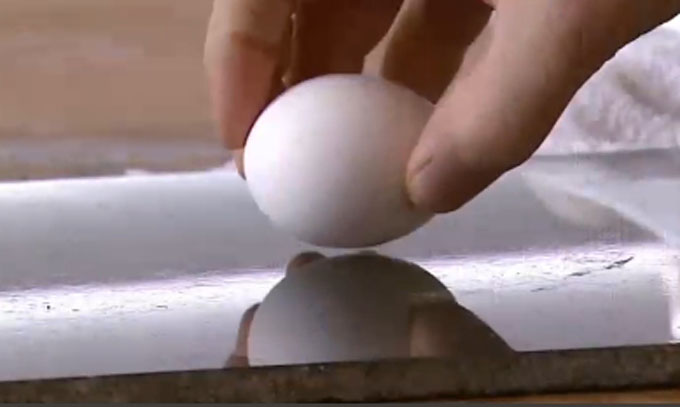 단백질식품에 대한 대중들의 관심이 높아지고 있다. 단백질식품은 다이어트에 탁월한 식품으로 달걀이 대표적이다. /ytn뉴스 영상 갈무리