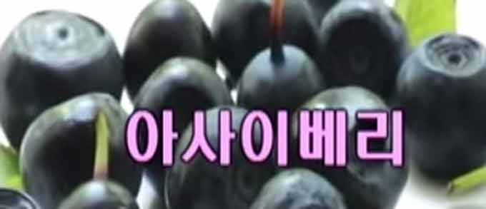 아사이베리 효능, 생명의 나무 열매. 아사이베리 효능은 다양하다. 아사이베리는 다양한 질병을 치료해 줄 뿐만 아니라 피부 노화를 늦춰주고 영양도 풍부하다. / KBS 방송화면 캡처