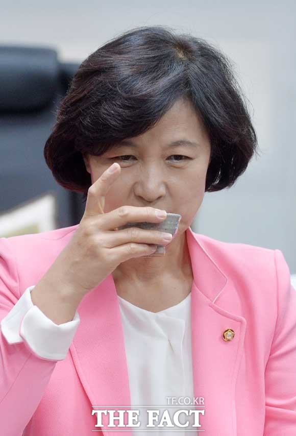 추미애의 별명은? 추미애 의원의 별명에 대한 누리꾼들의 관심이 높아지고 있다. 추미애 의원은 1997년 대선 당시 김대중 후보의 유세단장을 맡아 지역감정과 맞서 고향인 대구에서 선전하는 모습을 보여 추다르크라는 별명을 얻게 됐다. /문병희 기자