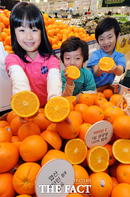 기관지 건강에 좋은 식품, 비타민 C 풍부. 높은 황사·미세먼지 수치에 기관지 건강에 좋은 식품들이 관심을 받고 있다. 기관지 건강에 좋은 식품에 많이 들어 있는 비타민 C의 섭취 방법도 눈길을 끌고 있다. / 더팩트 DB