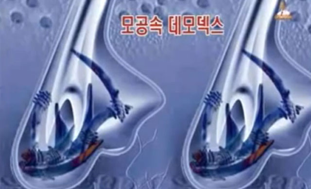 모낭충, 여드름 진드기.  모낭충은 여드름을 유발시키는 기생성 진드기이다. 이 때문에 여드름 진드기라고도 부른다. /유튜브 영상 캡처