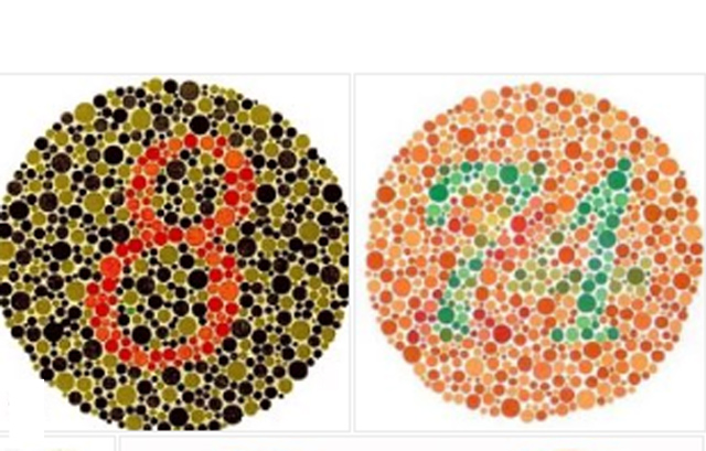 색약테스트 어떻게? 색약테스트가 눈길을 끌고 있다. /온라인 커뮤니티 캡처