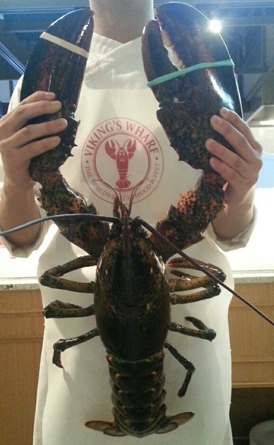 랍스터 무한리필, 양과 질 한번에 잡는다. 랍스터 무한리필 뷔페가 방송에 소개됐다. 랍스터 무한리필 뷔페로 소개된 바이킹스 워프에서는 지난달 40년산 대왕 로브스터를 인증하기도 했다. /바이킹스 워프 페이스북 캡처