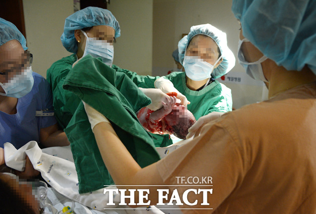 도티기념병원, 군드스 사연 눈길. 도티기념병원이 11일 인기 검색어에 등장해 네티즌들의 관심을 받고 있다. 도티기념병원은 이주자 노동민 산모들의 희망이 되고 있는 것으로 알려졌다. / 이새롬 기자