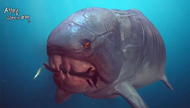 둔클레오스테우스란 상어 잡아 먹는 최상위 포식자. 둔클레오스테우스란 3억 7700만년 전 고생대 데본기에 가장 포악한 육식어류다. /EBS 방송화면 캡처