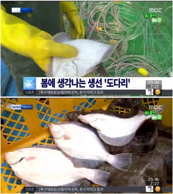 봄 도다리, 봄의 전령사. 봄을 맞이해 제철 생선 도다리가 주목받고 있다./MBC 화면캡처