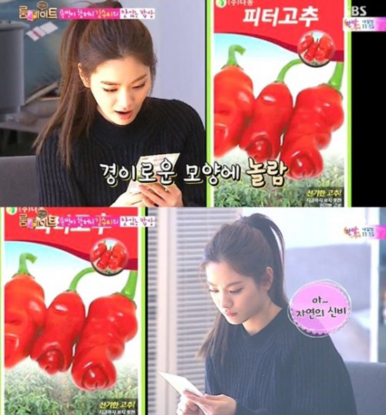 피터고추 맛과 효능에 관심이 쏠린다. 피터고추는 최근 SBS 룸메이트에 소개되며 관심을 낳았다. / SBS 룸메이트 방영 화면 캡처
