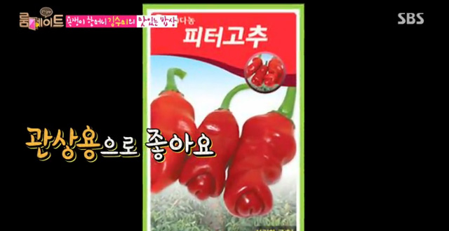 피터고추, 맛은 어떨까? 피터고추의 특이한 모양이 관심을 받고 있는 가운데 피터고추의 맛에 대한 궁금증이 높아지고 있다. 피터고추는 식감이 부드럽고 맛은 먹기 좋을 정도로 매콤하다. /SBS 룸메이트 시즌2 영상 갈무리