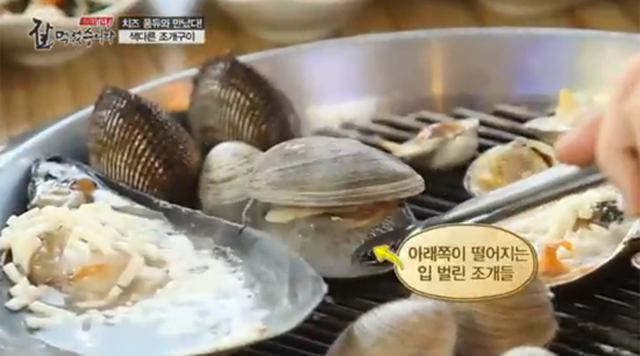 조개구이 무한리필집서 판매하는 조개, 다이어트에 최고 조개구이 무한리필집에서 파는 조개의 효능에 누리꾼들의 이목이 집중되고 있다./ SBS CNBC 방송 화면 캡처