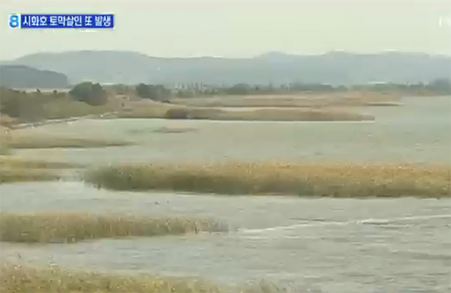 시화호 살인 사건 또 발생. 시화호에서 또 살인 사건이 발생해 충격을 주고 있다./MBN뉴스캡처