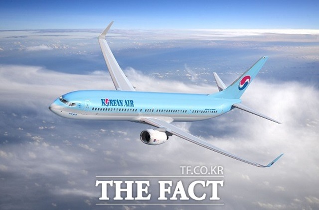 2013년 니가타공항 사고 기장, 처벌 수위는? 국토교통부가 27일 2013년 8월 일본 니가타공항 활주로를 이탈하는 사고를 일으킨 대한항공 기장에 대해 자격정지 30일을 통보했다고 밝혔다./대한항공 제공