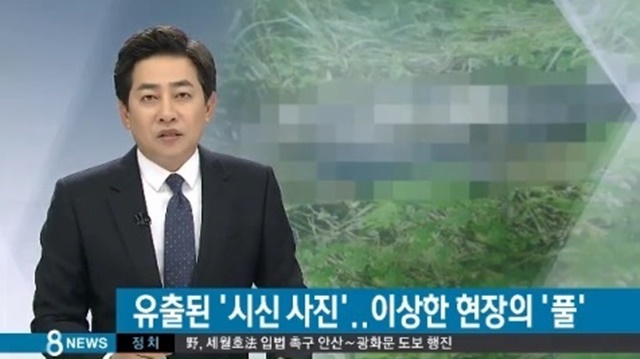 유병언 음모론. 스타들의 갑작스러운 소식들이 쏟아져 나오면서 유병언 음모론이 제기되고 있다. / SBS 뉴스 캡처